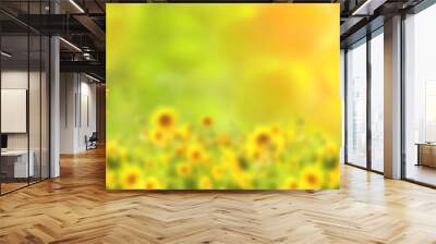 Sunflower on blurred sunny nature background. Horizontal agriculture summer banner with sunflowers field Wall mural