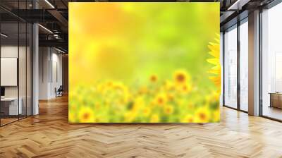 Sunflower on blurred sunny nature background. Horizontal agriculture summer banner with sunflowers field Wall mural