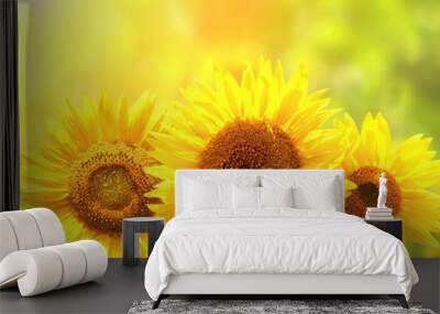 Sunflowers on blurred sunny background Wall mural