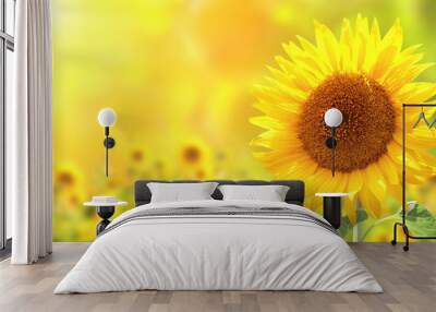 sunflowers Wall mural