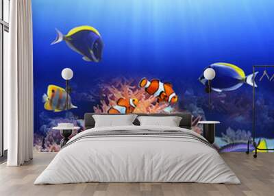 Underwater scene with tropical fish Wall mural