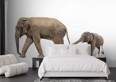 Walking family of elephant - mom and baby Wall mural