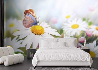 Wild flowers of chamomile in a meadow on sunny nature spring background. Summer scene with butterfly and camomile flower in rays of sunlight. Close-up or macro Wall mural