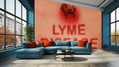 Lyme Disease Concept Wall mural