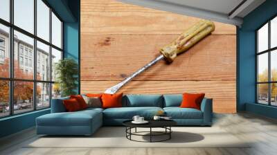 Old screwdriver lying on wooden boards. No body. Wall mural