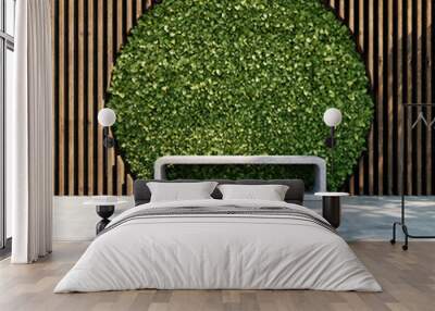 Decorative wooden wall  with vertical garden and bench Wall mural