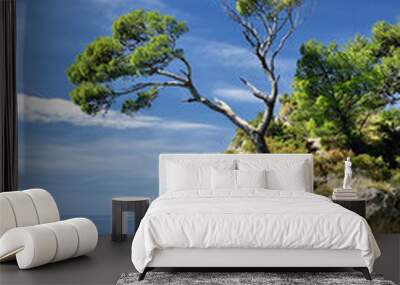 Famous beautiful rock with pine trees in Brela in Croatia Wall mural