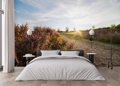 heath close up, Calluna vulgaris macro in summer Wall mural