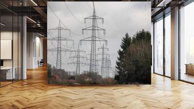 high voltage cables and steel pylons Wall mural