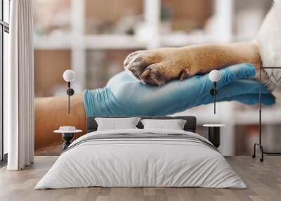 I am your friend. Hand of a veterinarian in a protective glove holding a paw of his patient during while working at veterinary clinic Wall mural