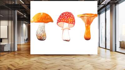 Watercolor hand drawn set of autumn mushrooms. Bright and colorful forest elements. A beautiful collection for Thanksgiving invitations, posters and banners. Autumn time. Harvest festival. Wall mural