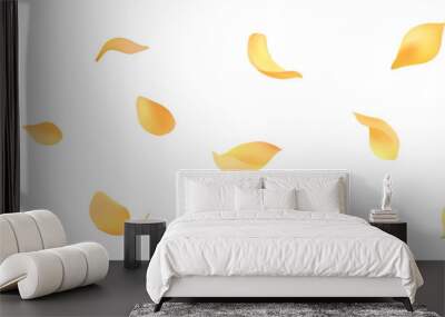 Beautifully dancing petals vector material Wall mural