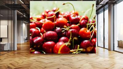 Cherry berries close up Wall mural