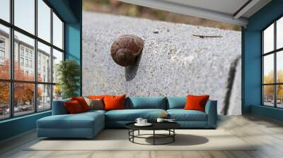 A snail on a concrete block is visible. Wall mural