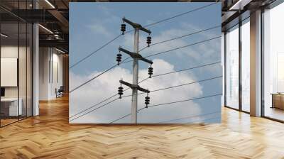 Power line support. Electric wires on a blue sky background. High-voltage lines in the modern city. Wall mural