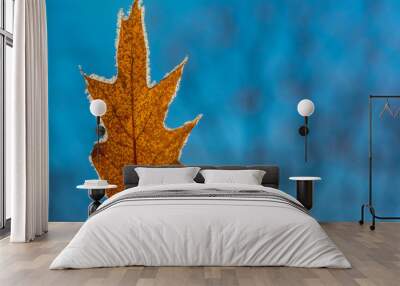 Orange frozen leaf Wall mural