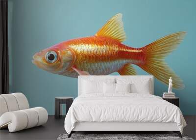 Goldfish in Aqua. Wall mural