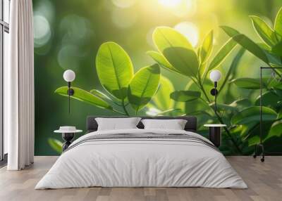 A close-up view of a vibrant green plant against the backdrop of the sun shining in the background. Wall mural