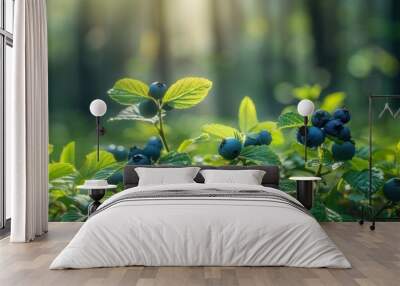 Bilberry bush with blue berries in forest Wall mural