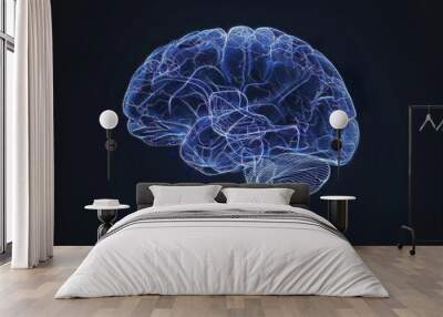 3D illustration of human brain on black background Wall mural