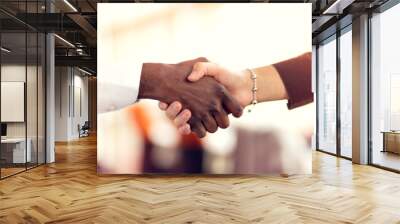 Closeup of White and Black shaking hands over a deal Wall mural