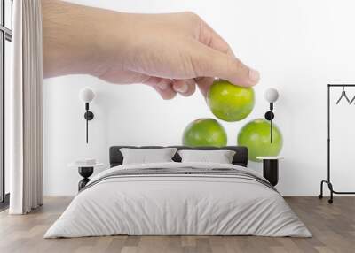 hand pick green lime on white background Wall mural