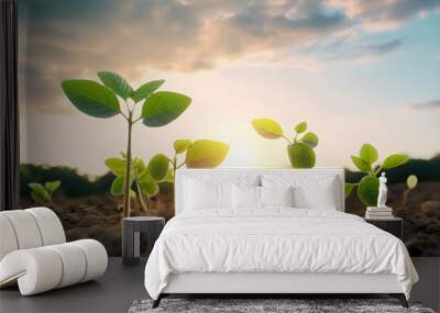 Photo close up of soybean plant in cultivated agricultural field, agriculture and crop protection Wall mural