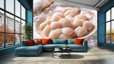 Fresh Raw Scallops Wall mural