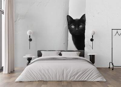 A black cat peeks from between two white walls with curious eyes. Wall mural