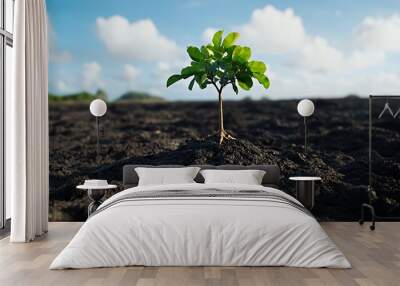 A small tree seedling growing in dark, fertile soil under a bright blue sky with fluffy white clouds. Wall mural