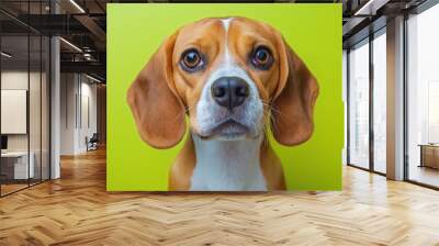 Close-up portrait of a beagle dog with big brown eyes and a wet nose looking at the camera against a green background. Wall mural