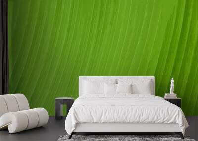 abstract of green leaf texture background Wall mural