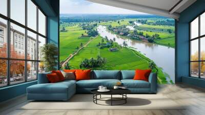 Green view of rice field and swith waterways on the middle . Generative Ai Wall mural