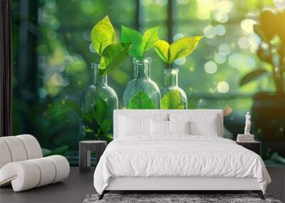 Three Glass Bottles with Green Plants Wall mural