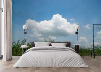 Green Grass With White Cloudy Blue Sky landscape view Wall mural