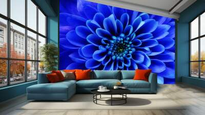 Macro of blue flower aster Wall mural