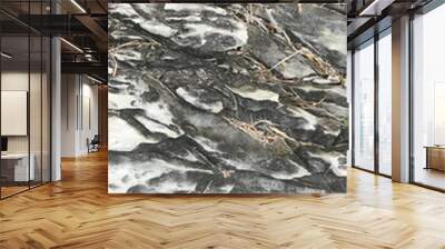 closeup gray stone texture Wall mural