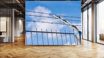 barbed wire at a gate with blue sky Wall mural