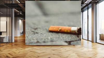 cigarettes stub on the street Wall mural