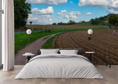 dirt road runs through a field of dirt. The sky is blue with a few clouds Wall mural