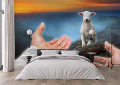 Hands of God reaching out to a lost sheep. Religious theme concept. Wall mural