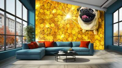 Happy pug dog sitting on a pile of glittering gold coins Wall mural