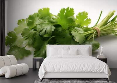 A bunch of fresh cilantro on a white background Wall mural