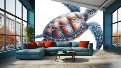 Turtle Art watercolor, Turtle Illustration painting Wall mural