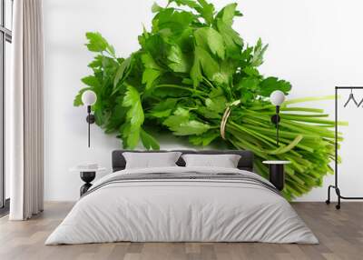 Bouquet of parsley on white background. Wall mural