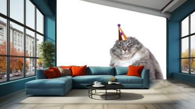 funny studio portrait of an annoyed young blue tabby maine coon cat displeased about wearing a birthday hat looking at camera in front of white background with copy space Wall mural