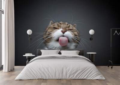 tabby white cat licking glass table sticking out tongue making funny face with copy space Wall mural