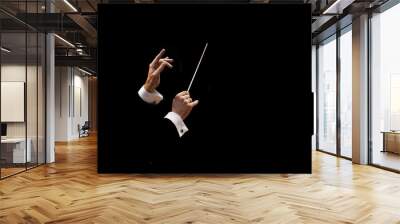 Conductor's hands on a black background Wall mural