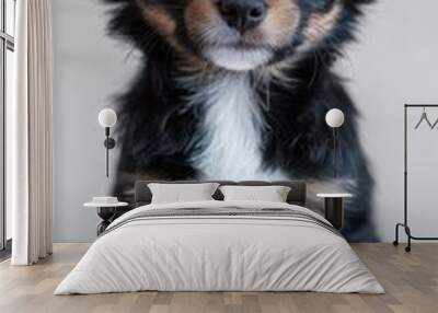 adorable mixedbreed puppy with fluffy fur and expressive eyes sitting attentively white studio background highlighting every cute detail Wall mural