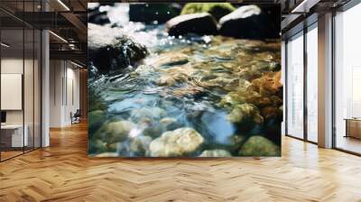 Close-up of clear water flowing in a spring creek Wall mural